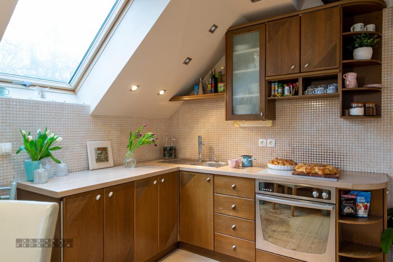 Vineyard Cottage Klemencic 노보메스토 외부 사진