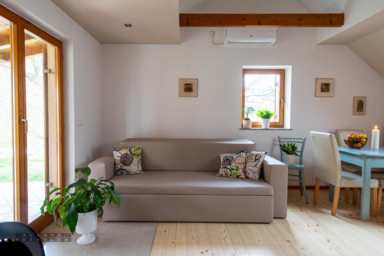 Vineyard Cottage Klemencic 노보메스토 외부 사진