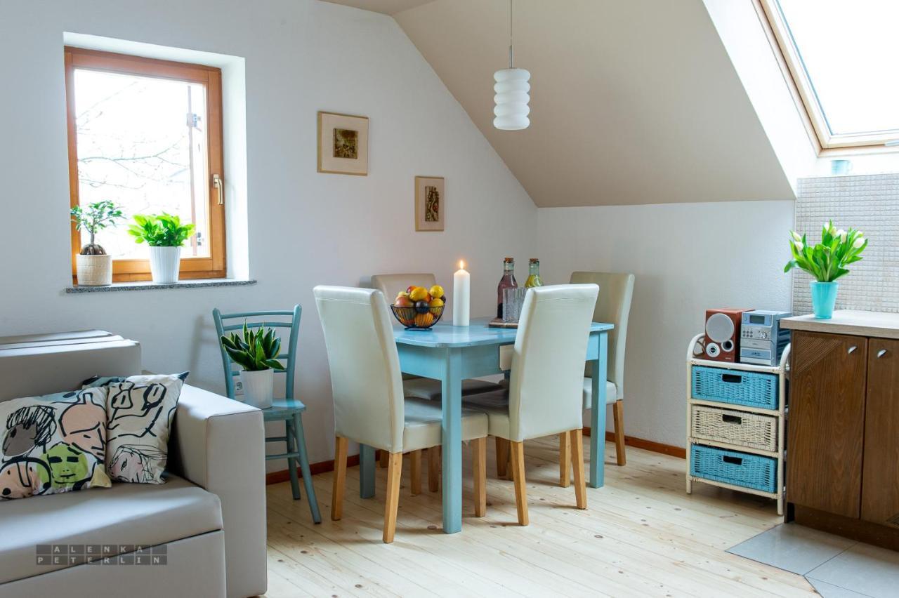 Vineyard Cottage Klemencic 노보메스토 외부 사진