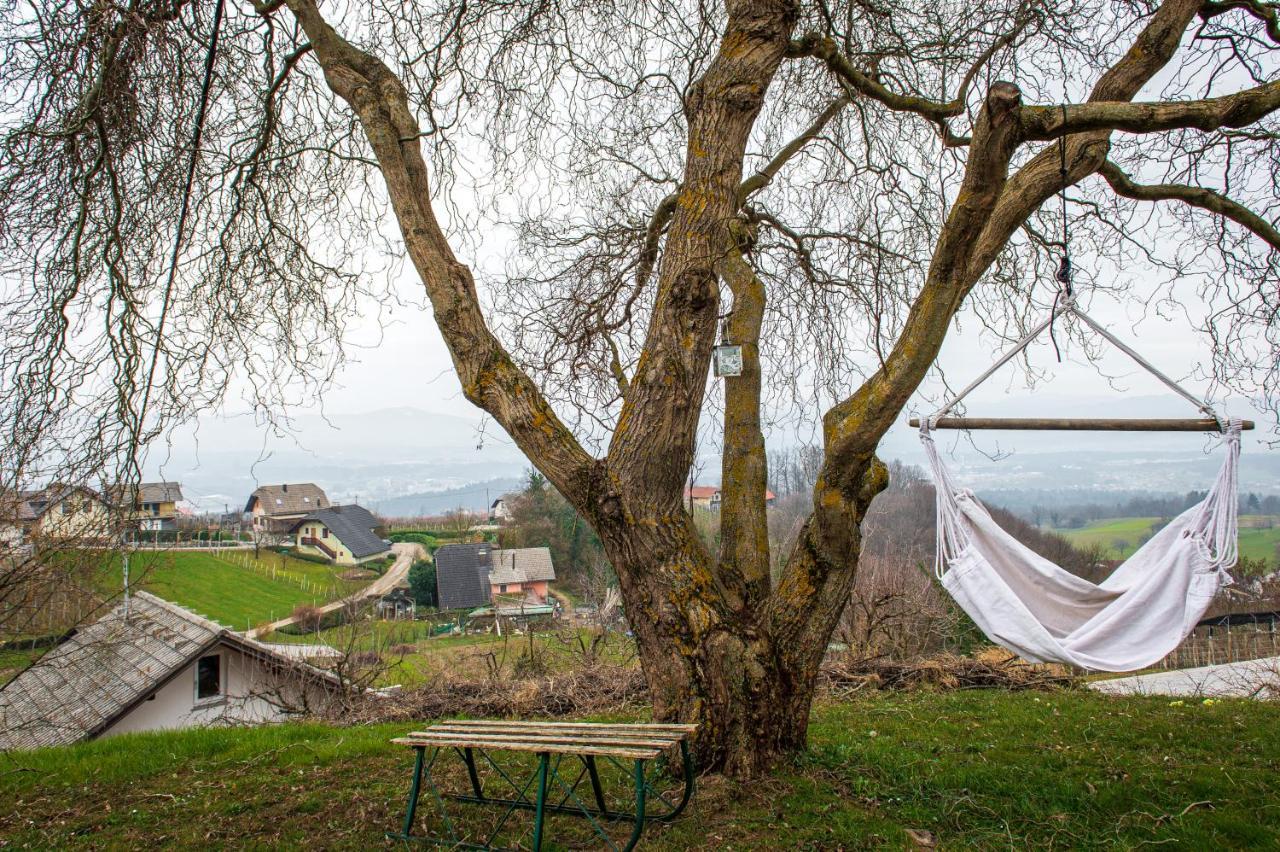 Vineyard Cottage Klemencic 노보메스토 외부 사진