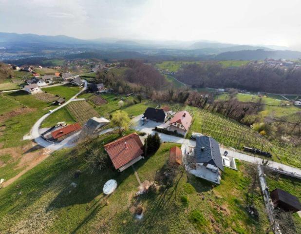 Vineyard Cottage Klemencic 노보메스토 외부 사진