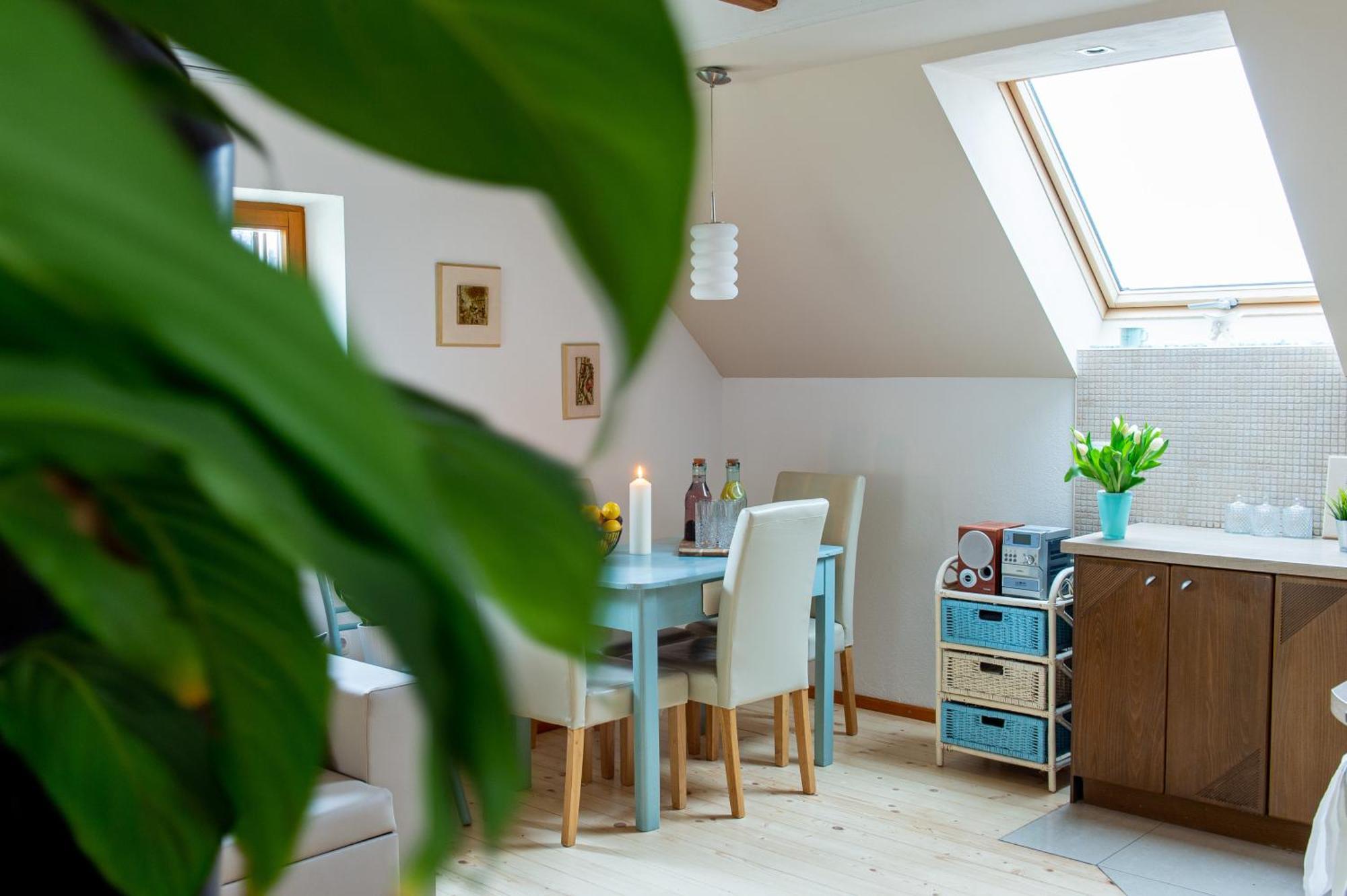 Vineyard Cottage Klemencic 노보메스토 객실 사진
