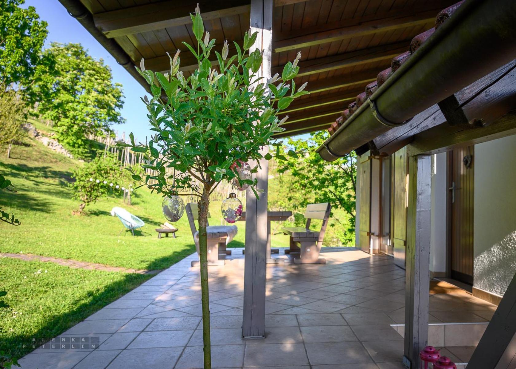 Vineyard Cottage Klemencic 노보메스토 외부 사진